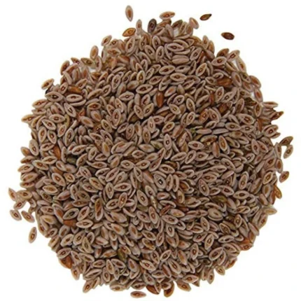 Psyllium Husk (Isab Gol)