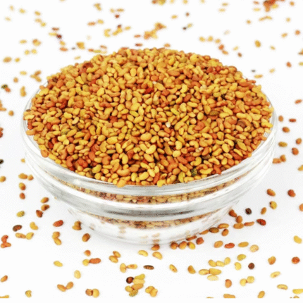Lucerne alfalfa