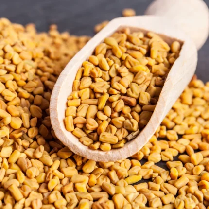 Fenugreek (Methi)