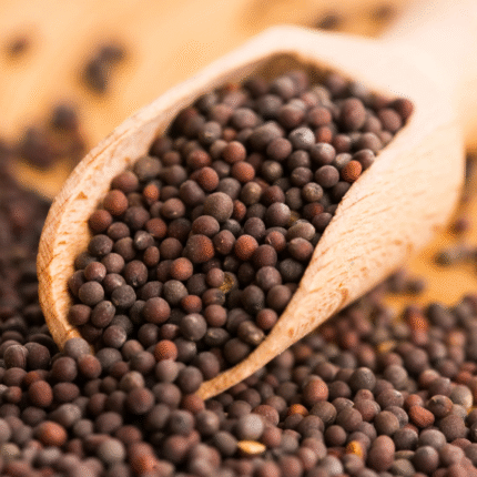 Black Mustard