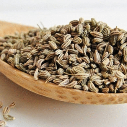 Carom (Ajwain)