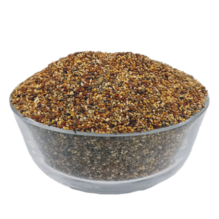Kasni Seeds